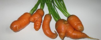 cropped-wierd-carrots.jpg